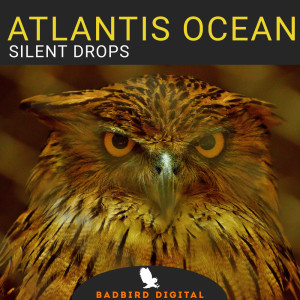 Album Silent Drops from Atlantis Ocean