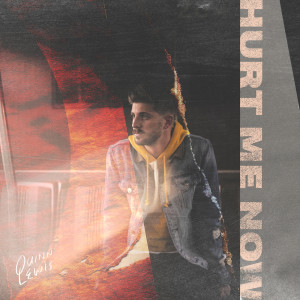 收聽Quinn Lewis的Hurt Me Now歌詞歌曲