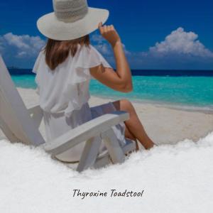 Listen to Thyroxine Toadstool song with lyrics from Carice Sping