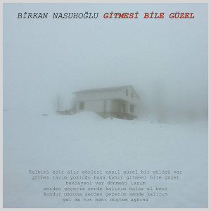 Birkan Nasuhoğlu的專輯Gitmesi Bile Güzel