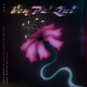 ดาวน์โหลดและฟังเพลง Ven Pa’ Qui พร้อมเนื้อเพลงจาก David Marston
