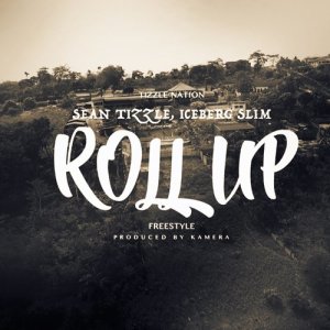 Album Roll Up from Sean Tizzle