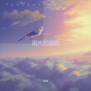 Listen to 追光的翅膀 (完整版) song with lyrics from 阳漾