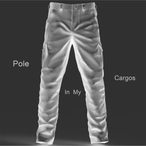 Album Pole in My Cargos from Full Tac