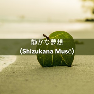 Album 静かな夢想 (Shizukana Musō) from 王森地