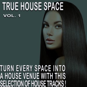 Album The House Space, Vol. 1 from Various
