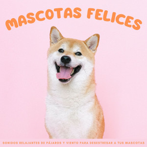 Album Mascotas Felices: Sonidos Relajantes De Pájaros Y Viento Para Desestresar A Tus Mascotas oleh Pájaros En El Bosque