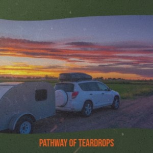 Album Pathway of Teardrops from Various