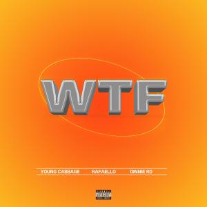 Young Cabbage的專輯WTF (feat. Rafaello & Dinnie RD) (Explicit)