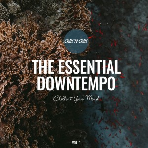 The Essential Downtempo: Chillout Your Mind dari Various