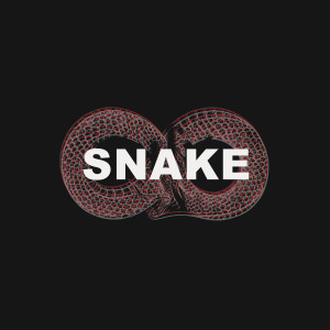 Album Snake (Julite X Tea & Beans) (Explicit) from Sara Fajira