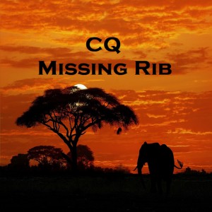 CQ的专辑Missing Rib
