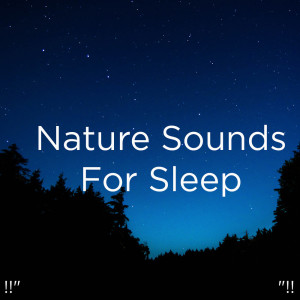 Dengarkan Water Sounds Meditation lagu dari Yoga dengan lirik