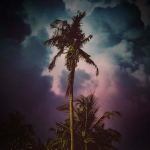 Listen to Tropical Storm Sounds for Deep Meditation and Instant Relaxation song with lyrics from Sleep Waves