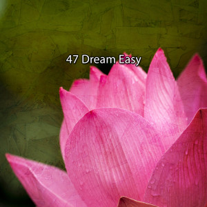 Album 47 Dream Easy from Sounds Of Nature