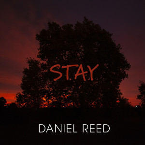 收聽Daniel Reed的Stay歌詞歌曲
