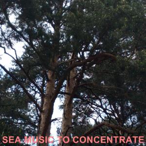 Listen to Sea Music To Concentrate song with lyrics from Robert Williams