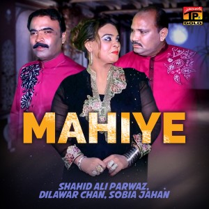 ดาวน์โหลดและฟังเพลง Mahiye พร้อมเนื้อเพลงจาก Shahid Ali Parwaz