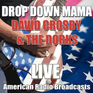 ดาวน์โหลดและฟังเพลง The Wall Song (Live) พร้อมเนื้อเพลงจาก David Crosby & The Dorks