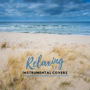 Relaxing Instrumental Covers: 12 Chilled and Calm Classical Pieces dari Richie Aikman