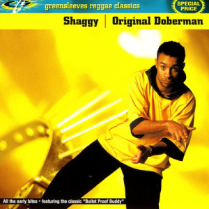 ดาวน์โหลดและฟังเพลง We Never Danced To The Rub-A-Dub Sound พร้อมเนื้อเพลงจาก Shaggy