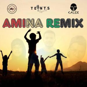 อัลบัม AMINA (Keka Shushi & Kalex Remix) ศิลปิน Kalex