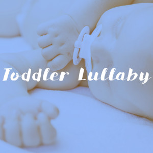 Toddler Lullaby
