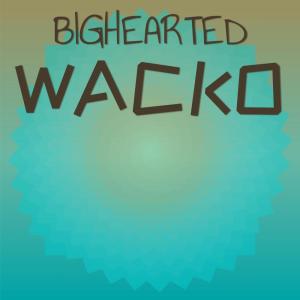 Album Bighearted Wacko from Various