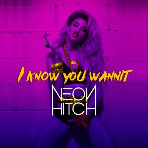 I Know You Wannit (Explicit)