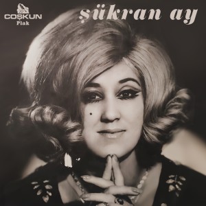 ดาวน์โหลดและฟังเพลง Hayran Olurum พร้อมเนื้อเพลงจาก Şükran Ay