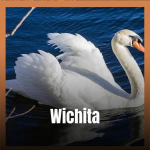 Dengarkan Wichita lagu dari Cimone dengan lirik