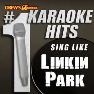ดาวน์โหลดและฟังเพลง Leave Out All the Rest (As Made Famous By Linkin Park) พร้อมเนื้อเพลงจาก Karaoke