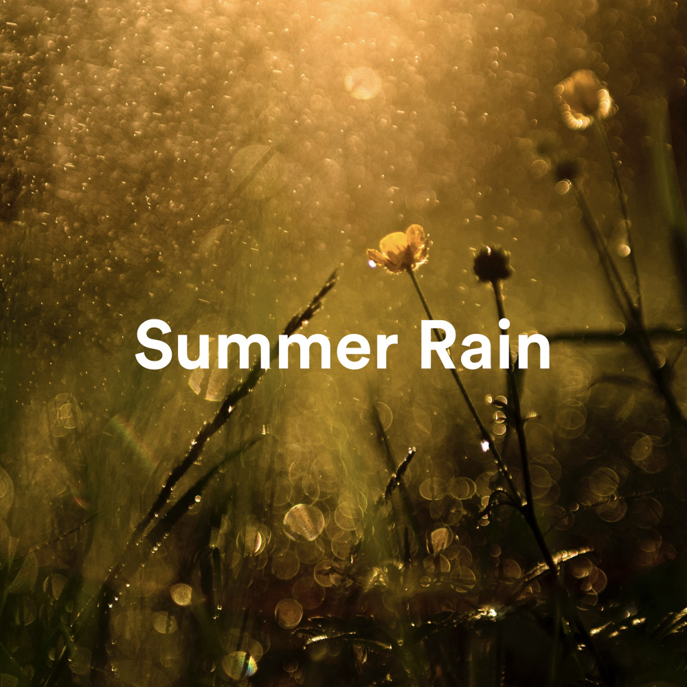 A Warm Summer Rain Ends