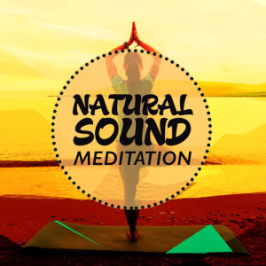 ดาวน์โหลดและฟังเพลง Woodland Opening พร้อมเนื้อเพลงจาก Nature Sounds Meditation