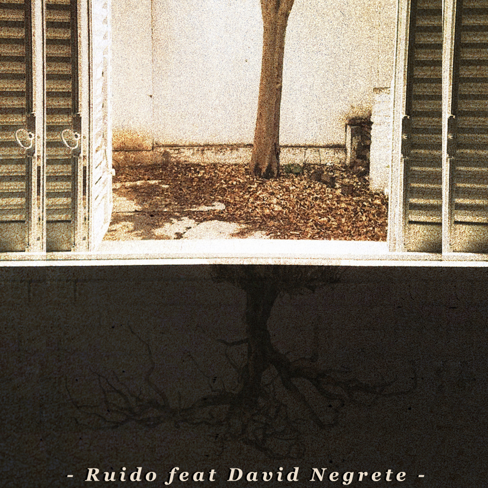 Ruido