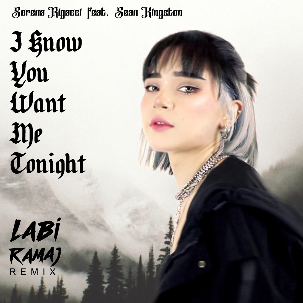 I Know You Want Me Tonight (Labi Ramaj Remix)