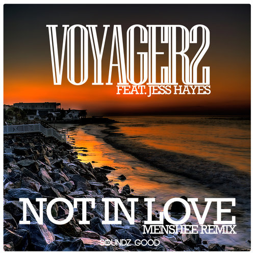 Not In Love (feat. Jess Hayes) [Menshee Radio Edit] {Mixed} (Menshee Radio Edit)