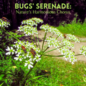 Bugs' Serenade: Nature's Harmonious Chorus
