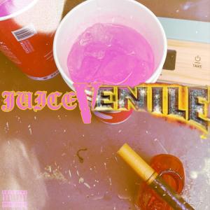 ดาวน์โหลดและฟังเพลง Juicevenile (feat. Racks Ina Rental) (Explicit) พร้อมเนื้อเพลงจาก Richie Rush G.W.O.P.