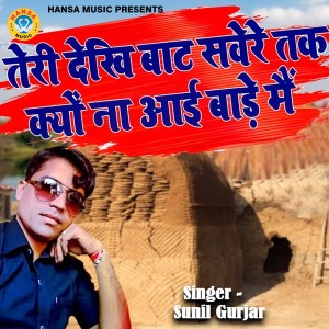 收聽Sunil Gurjar的Teri Dekhi Baat Savere Tak Kyu Na Aai Baade Main歌詞歌曲