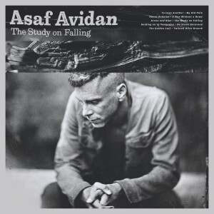 ดาวน์โหลดและฟังเพลง Twisted Olive Branch พร้อมเนื้อเพลงจาก Asaf Avidan