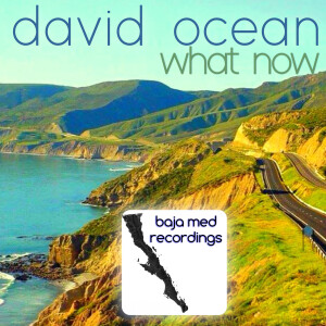 收聽David Ocean的what now歌詞歌曲