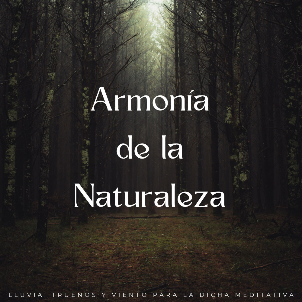 Viaje Meditativo Del Viento