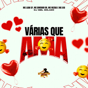 Album Várias Que Ama (Explicit) from Dj Biel Bolado