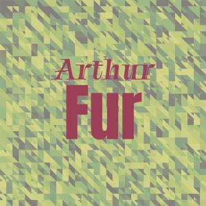 Various Artists的專輯Arthur Fur