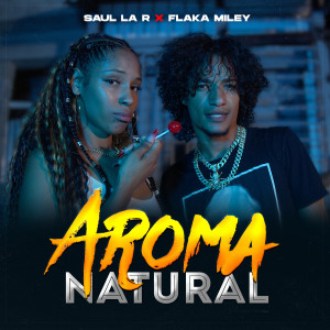 ดาวน์โหลดและฟังเพลง Aroma Natural พร้อมเนื้อเพลงจาก Saul La R