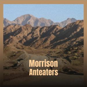 Album Morrison Anteaters from Various