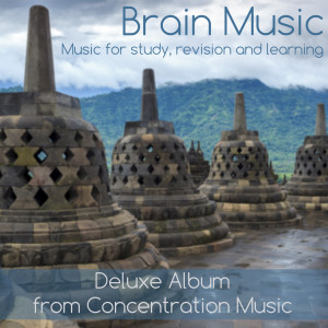 Dengarkan Brain Wave Music lagu dari ConcentrationMusic dengan lirik