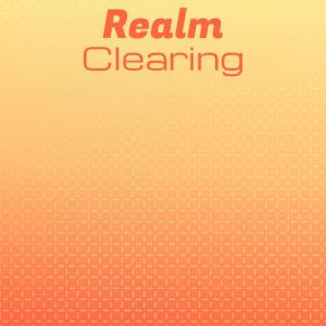 Album Realm Clearing oleh Various Artists