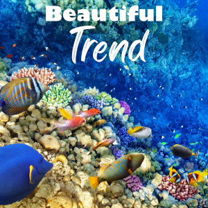 Album Beautiful Trend oleh Tendencia